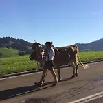 Mit Aussicht Im Bergdorf Im Allgaeu