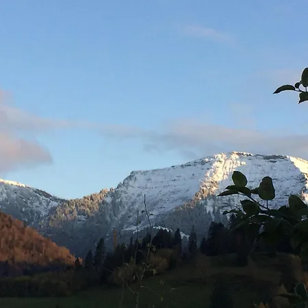 Mit Aussicht Im Bergdorf Im Allgaeu Steibis