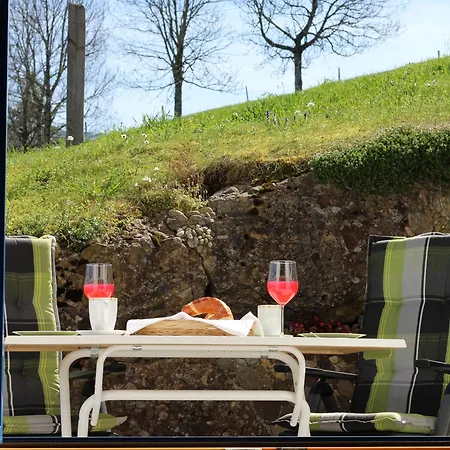 Appartement Mit Aussicht Im Bergdorf Im Allgaeu Steibis
