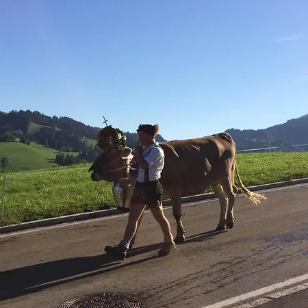 Mit Aussicht Im Bergdorf Im Allgaeu