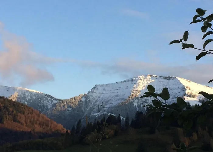 Mit Aussicht Im Bergdorf Im Allgaeu * Steibis