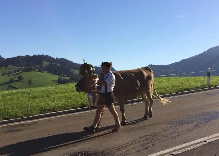 Mit Aussicht Im Bergdorf Im Allgaeu